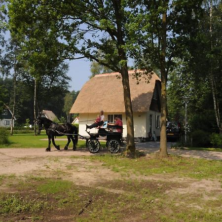 Beautiful Holiday Home In Heeten With Private Garden Exteriör bild