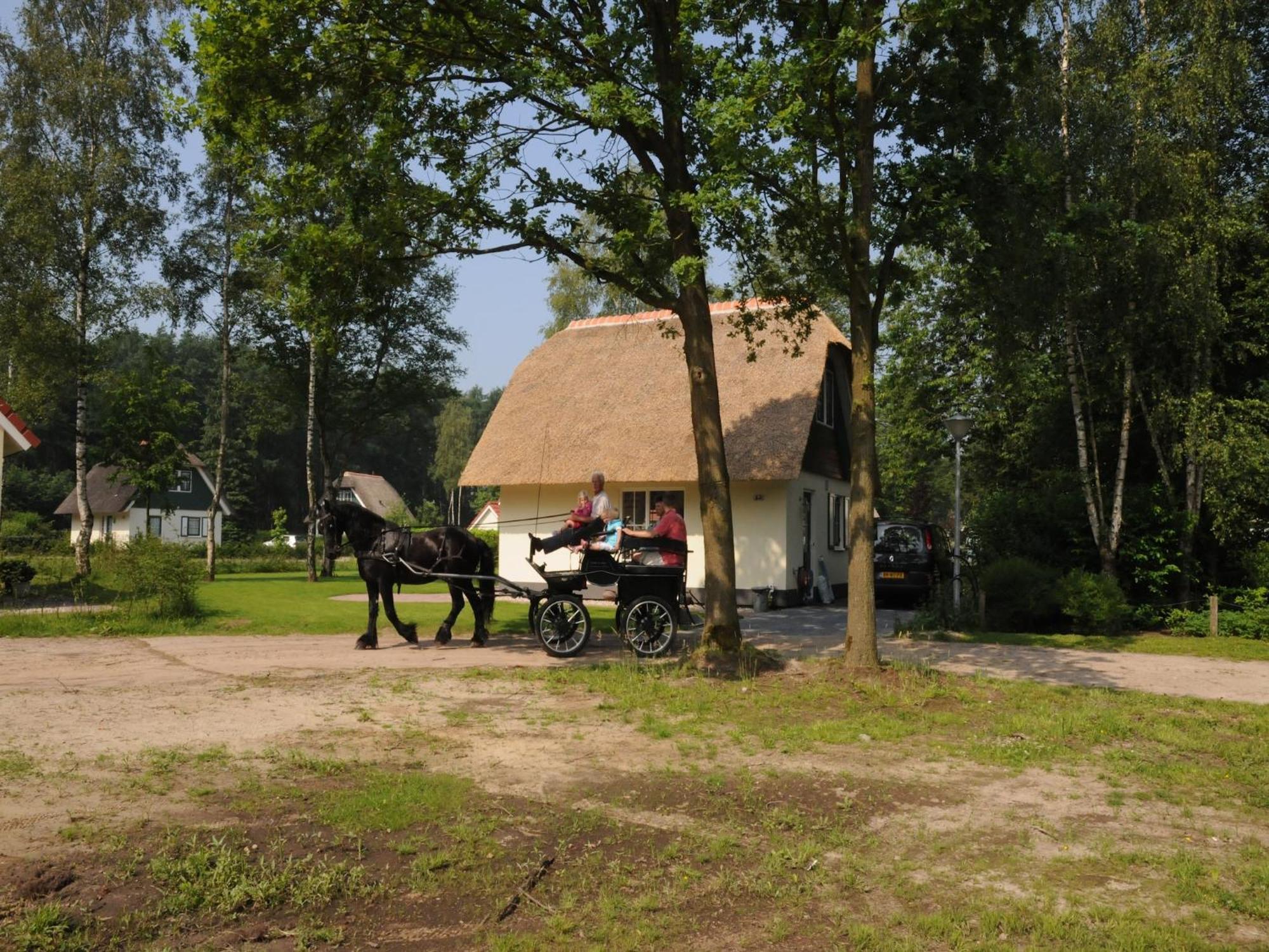 Beautiful Holiday Home In Heeten With Private Garden Exteriör bild